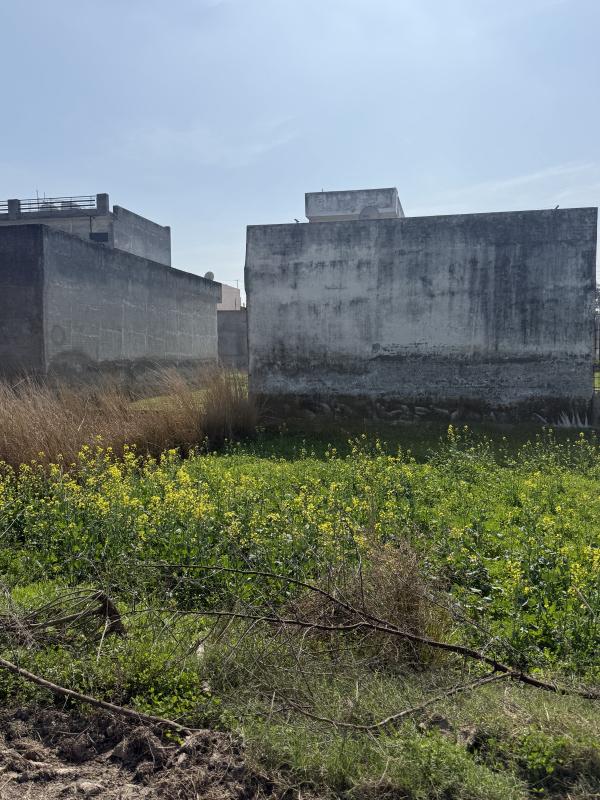  6 Marla Residential Plot for Sale in Barara, Ambala