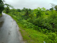  Agricultural Land for Sale in Igatpuri, Nashik