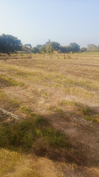  Residential Plot for Sale in Gaulapar, Nainital