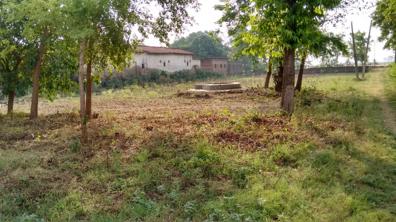  10 Bigha Agricultural/Farm Land for Rent in Bikram, Patna