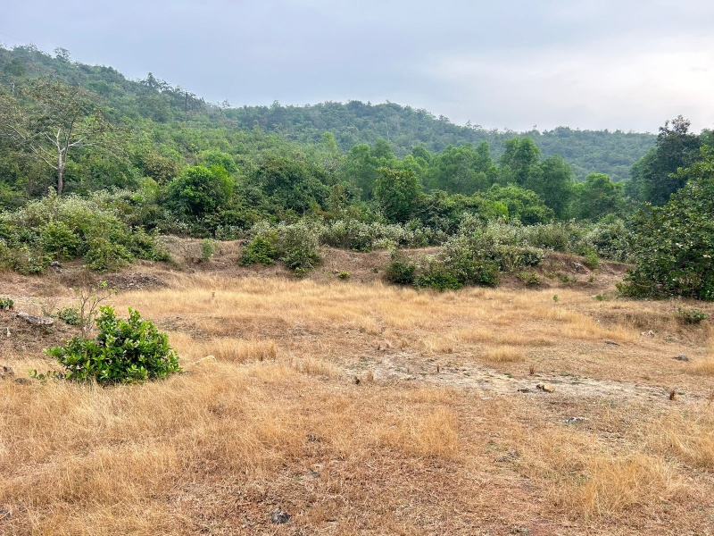  19602 Sq.ft. Industrial Land for Sale in Gokarna, Uttara Kannada