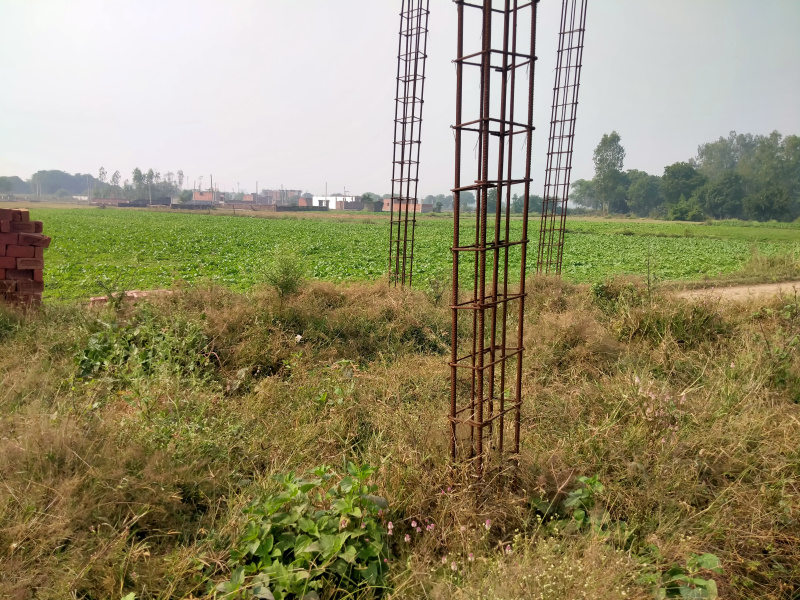  1080 Sq.ft. Residential Plot for Sale in Dubbaga, Lucknow