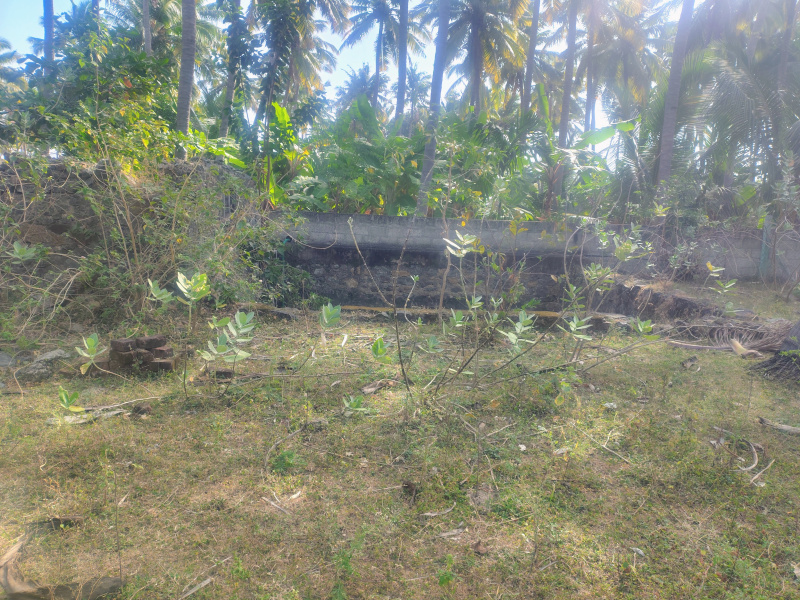  6000 Sq.ft. Residential Plot for Sale in Chenbagaramanputhoor, Kanyakumari
