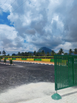  Residential Plot for Sale in Devanahalli, Bangalore
