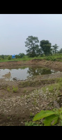  Agricultural Land for Sale in Hingna Road, Nagpur