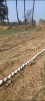  Residential Plot for Sale in Kanhauli, Bihta, Patna