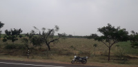 Agricultural Land for Sale in Akkalkot, Solapur