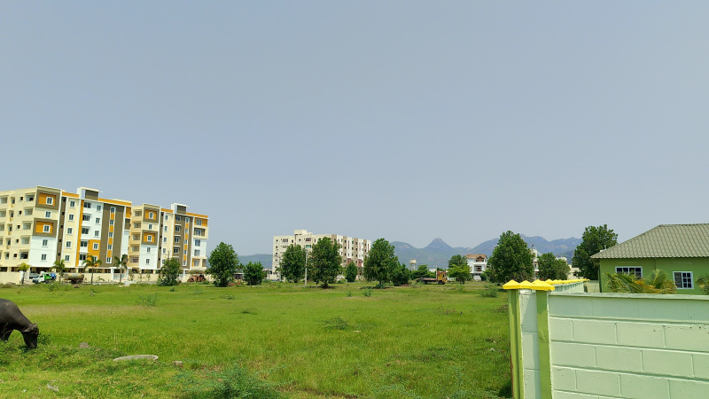 2 BHK 1080 Sq.ft. Apartment for Sale in Yanamadala, Guntur