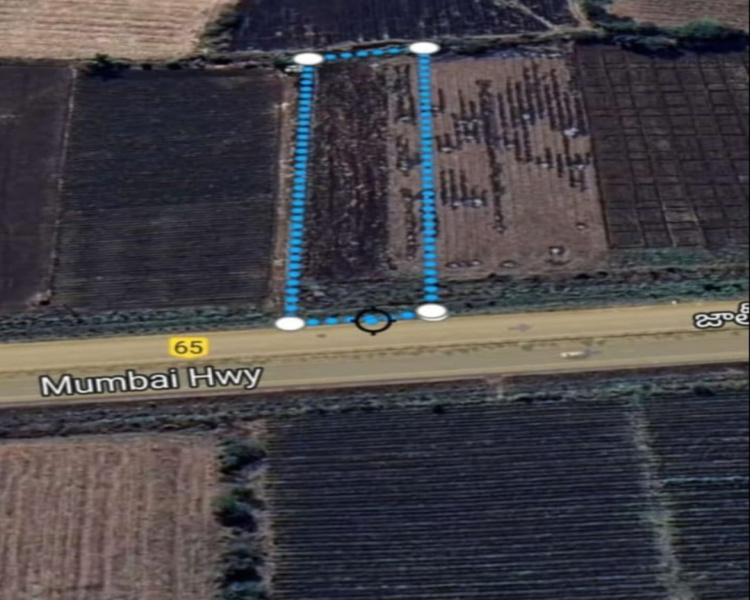  21 Guntha Agricultural/Farm Land for Sale in Zaheerabad, Sangareddy