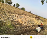 Agricultural Land for Sale in Jamner, Jalgaon