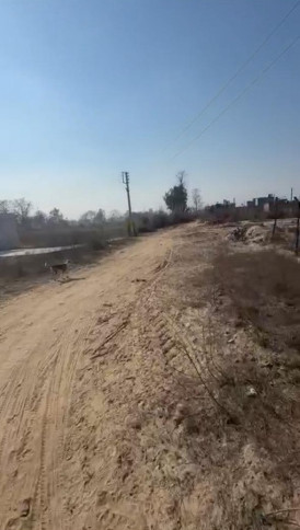  2700 Sq.ft. Warehouse for Sale in Suman Nagar, Haridwar