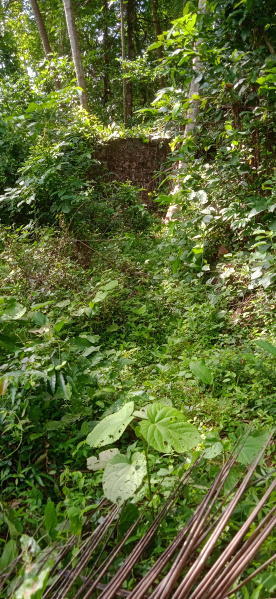  22 Cent Residential Plot for Sale in Parali, Palakkad