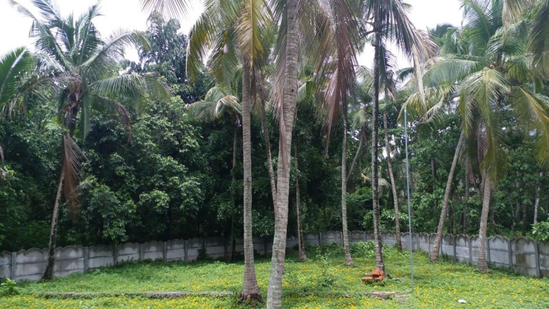  8 Cent Residential Plot for Sale in Chittilappilly, Thrissur