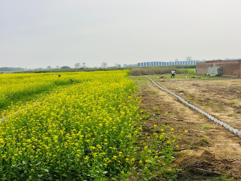  1200 Sq.ft. Residential Plot for Sale in Kanhauli, Bihta, Patna