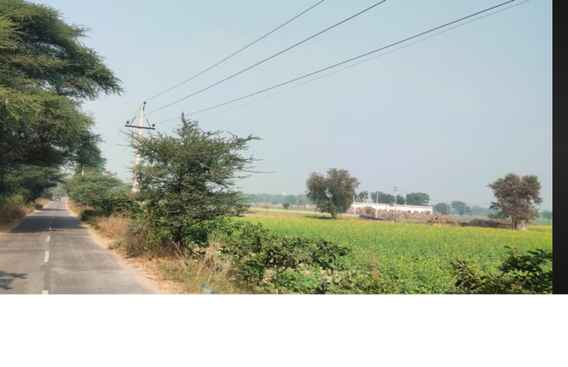  3 Acre Agricultural/Farm Land for Sale in Kadambur, Thoothukudi