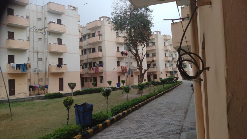 1 BHK 505 Sq.ft. Apartment for Sale in Pilkhuwa, Ghaziabad