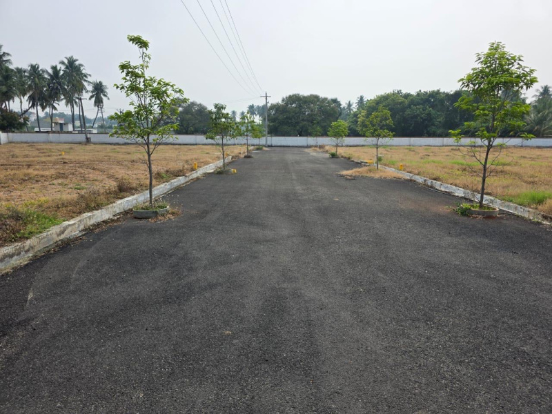  1200 Sq.ft. Residential Plot for Sale in Solar, Erode