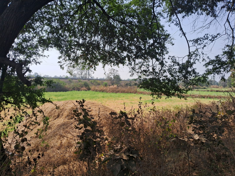  55000 Sq.ft. Commercial Land for Sale in Bamhani, Mandla