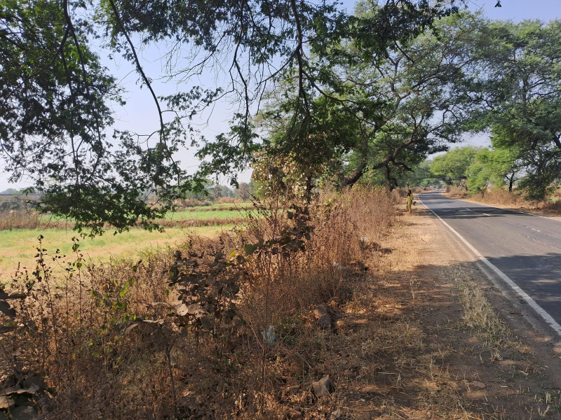  55000 Sq.ft. Commercial Land for Sale in Bamhani, Mandla