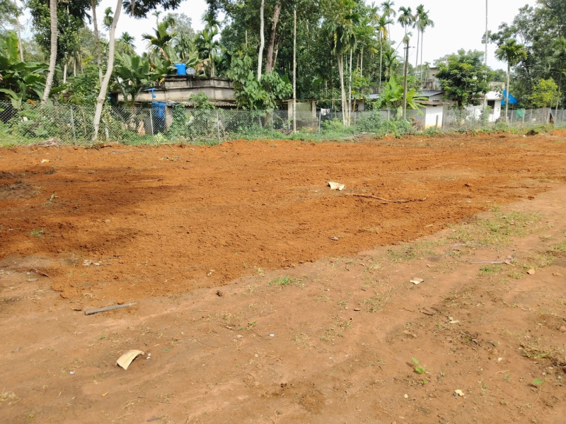  61 Cent Residential Plot for Sale in Adoor, Pathanamthitta