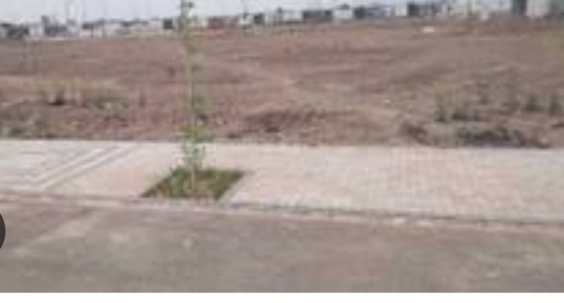  Residential Plot 675 Sq.ft. for Sale in Sector 20 Panchkula