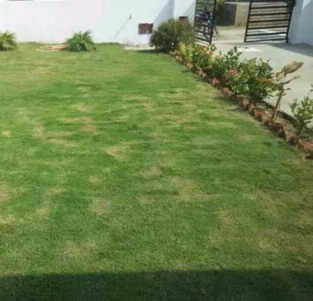  Residential Plot 4950 Sq.ft. for Sale in Sector 21 Panchkula