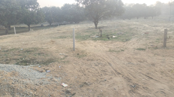  Commercial Land for Sale in Jagatpur, Madhubani