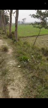  Residential Plot for Sale in Jagatpur, Madhubani