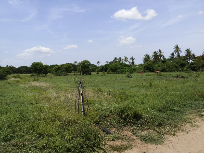  1200 Sq.ft. Residential Plot for Sale in Thiruneermalai, Kanchipuram