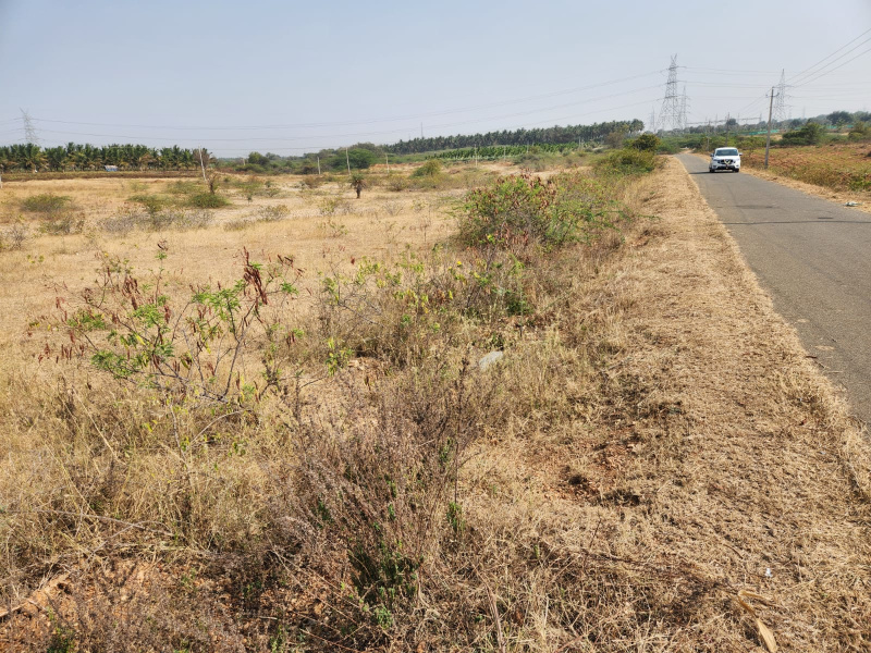  3 Acre Agricultural/Farm Land for Sale in Hiriyur, Chitradurga