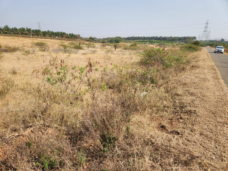  3 Acre Agricultural/Farm Land for Sale in Hiriyur, Chitradurga