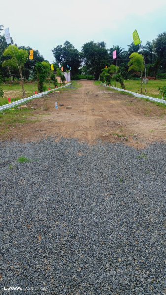  100 Sq. Yards Residential Plot for Sale in Burugupudi Rajahmundry Rajahmundry