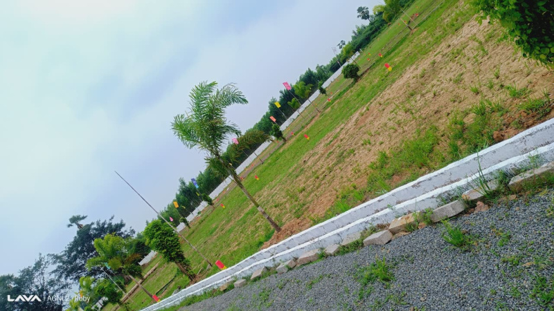  100 Sq. Yards Residential Plot for Sale in Burugupudi Rajahmundry Rajahmundry