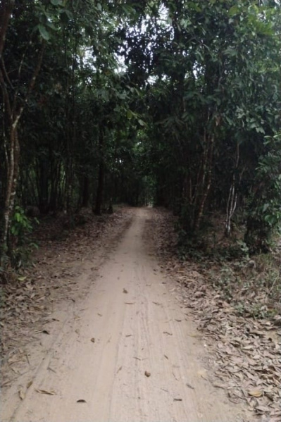  25000 Sq.ft. Residential Plot for Sale in Hiriadka, Udupi