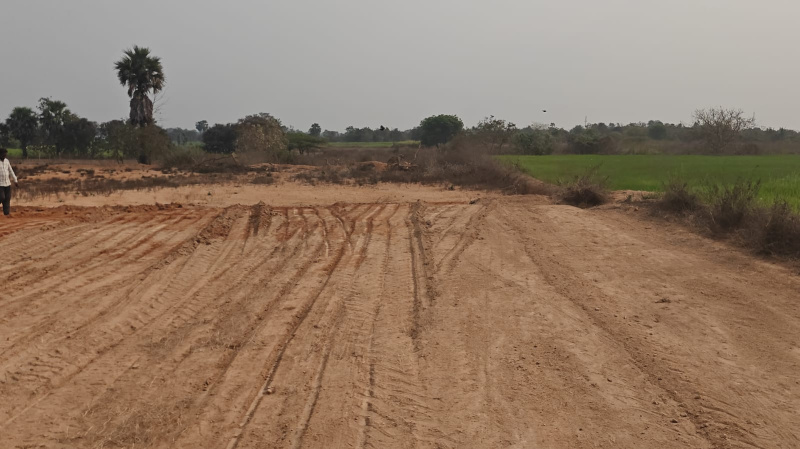  121 Sq. Yards Residential Plot for Sale in Bachannapet, Jangaon