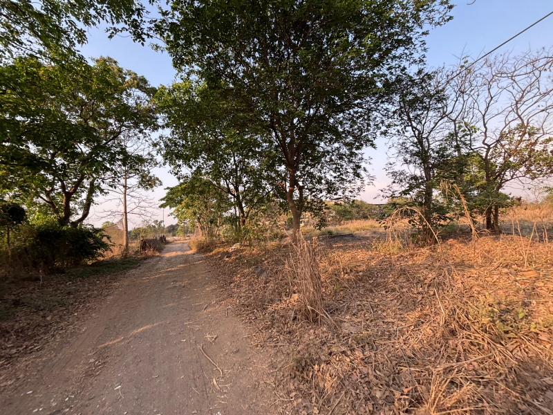 59202 Sq.ft. Residential Plot for Sale in Rasayani, Raigad