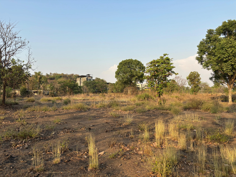  59202 Sq.ft. Residential Plot for Sale in Rasayani, Raigad