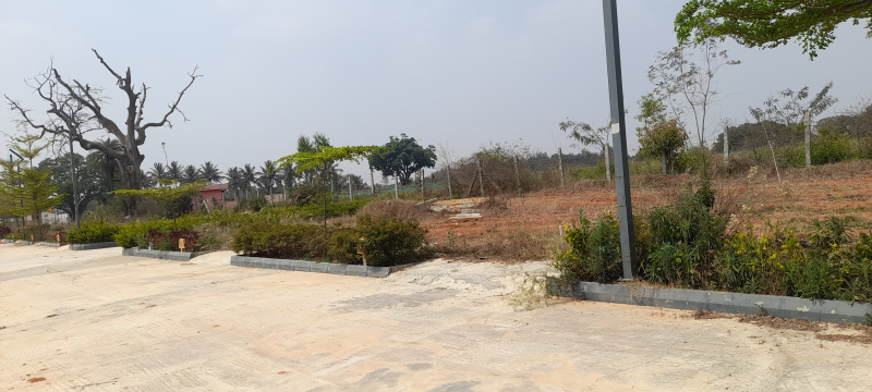  1200 Sq.ft. Residential Plot for Sale in Anekal, Bangalore