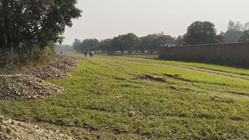  100 Sq. Yards Residential Plot for Sale in Selaqui, Dehradun