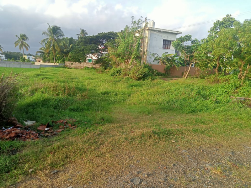  24 Cent Residential Plot for Sale in Kannadi, Palakkad