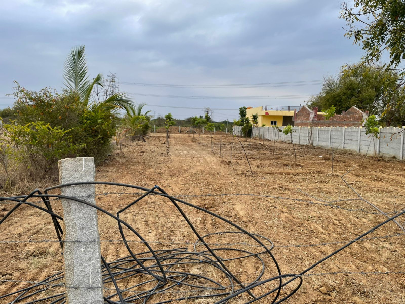  0 Acre Agricultural/Farm Land for Sale in Lepakshi, Anantapur