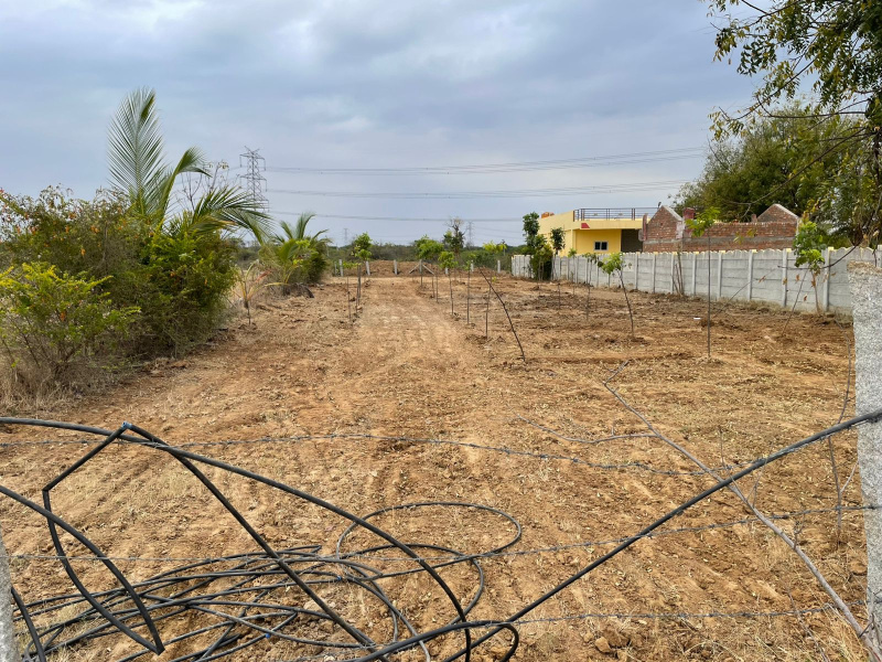  0 Acre Agricultural/Farm Land for Sale in Lepakshi, Anantapur