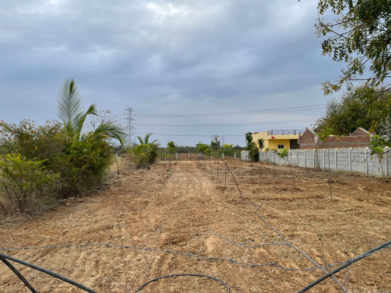  0 Acre Agricultural/Farm Land for Sale in Lepakshi, Anantapur