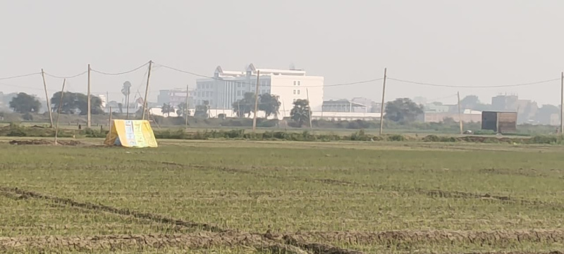  1200 Sq.ft. Residential Plot for Sale in Deedarganj, Patna