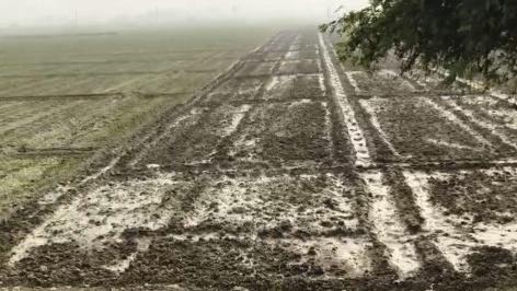  1200 Sq.ft. Residential Plot for Sale in Deedarganj, Patna