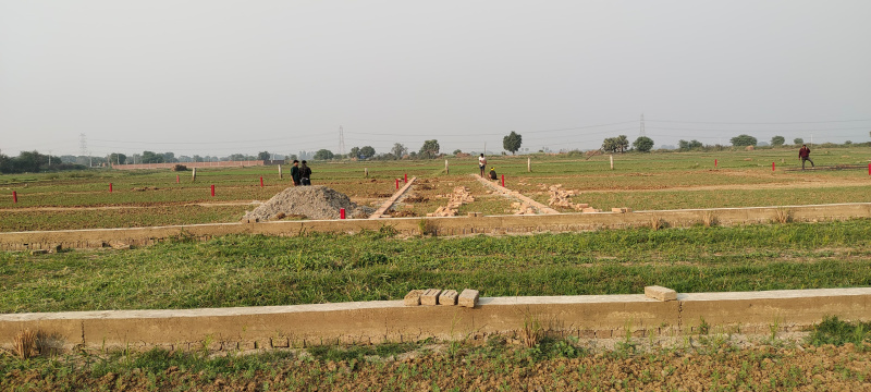  1200 Sq.ft. Residential Plot for Sale in Khusrupur, Patna