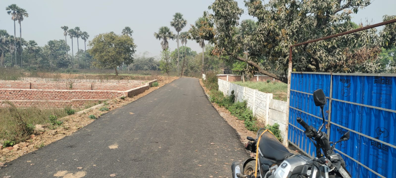  1200 Sq.ft. Residential Plot for Sale in Bihta, Patna