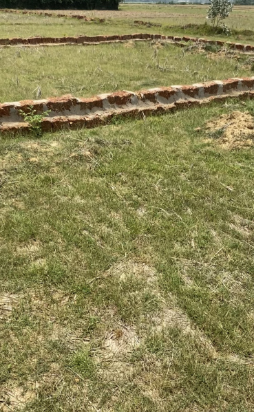  1500 Sq.ft. Residential Plot for Sale in Pipili, Puri