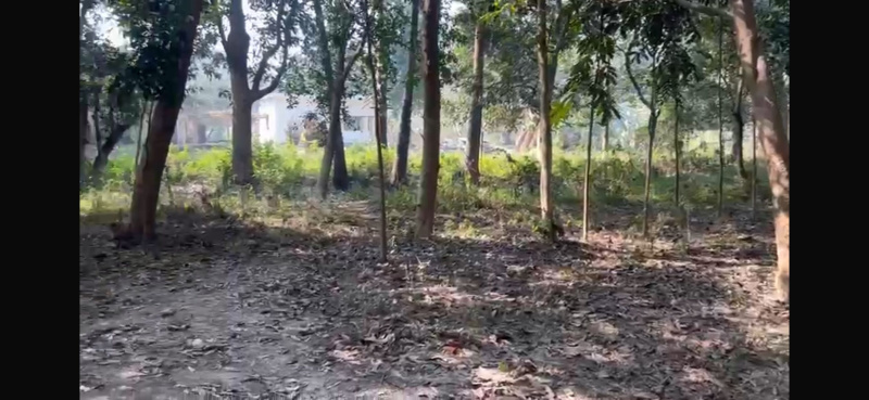  6 Katha Commercial Land for Sale in Teghra, Begusarai