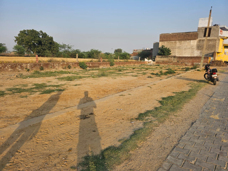  80 Sq. Yards Commercial Land for Sale in Khair, Aligarh